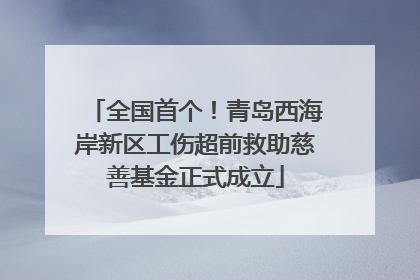 全国首个！青岛西海岸新区工伤超前救助慈善基金正式成立